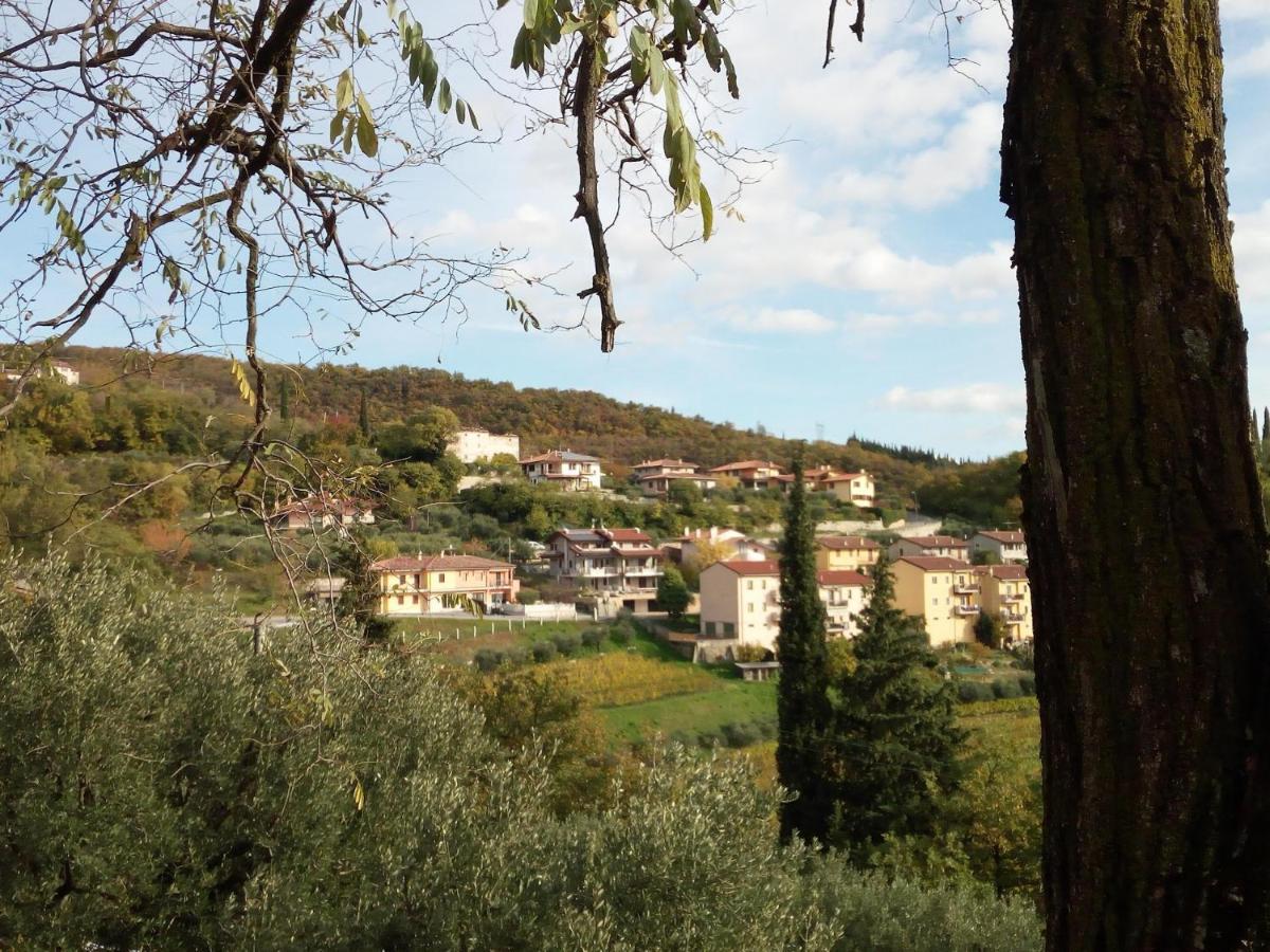 Panoramico10 Apartment With A View In Valpolicella SantʼAmbrogio di Valpolicella Dış mekan fotoğraf